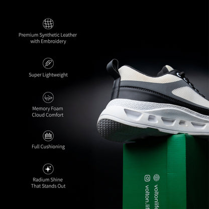 Ashes Illusion - Volton - AIS-06