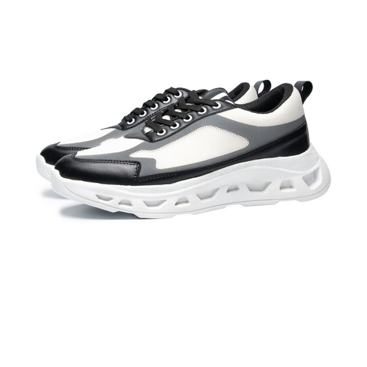 Black and white sneaker on a white background